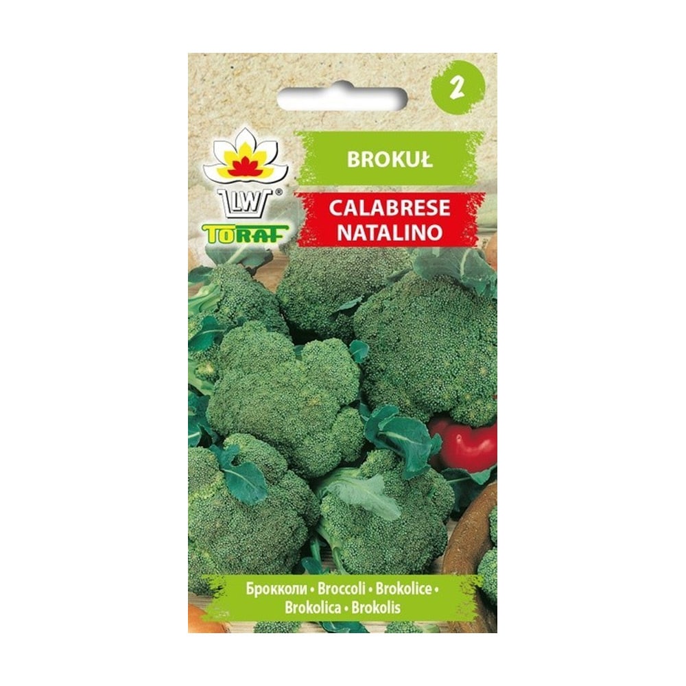 Broccoli Calabrese Natalino